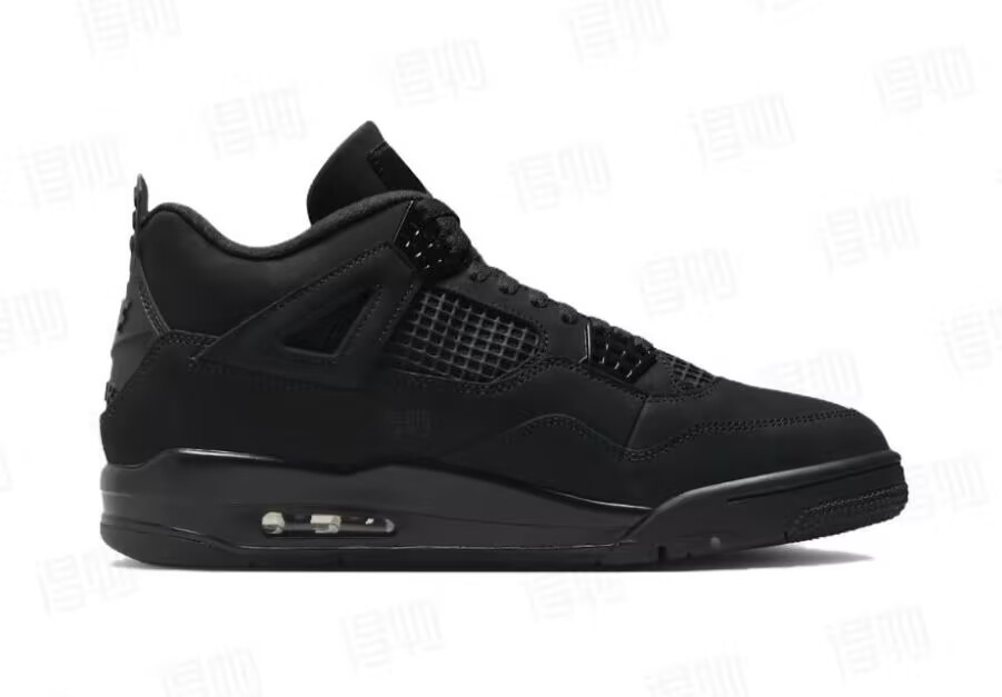 Air Jordan 4 Retro-165